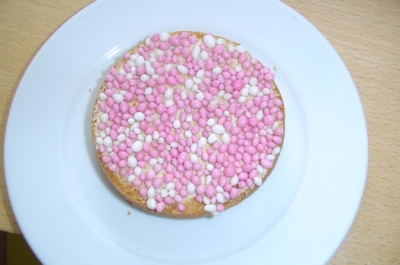 Beschuit_met_Muisjes.jpg