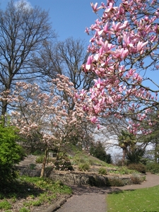 BotaniaGarden_0047.jpg