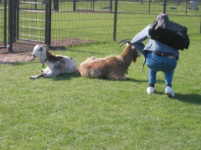 Griftpark11.jpg