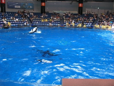 ReisJapan_797.jpg