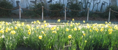 lente1.jpg