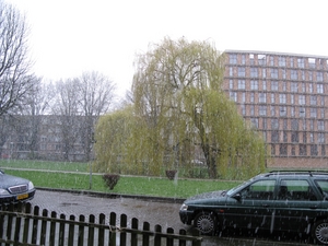 lente10.jpg