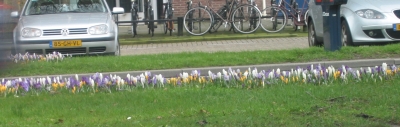 lente2.jpg