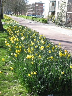 lente9.jpg