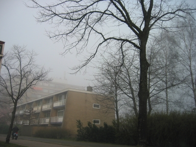 mist7.jpg
