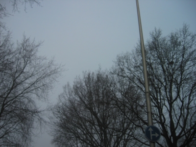 mist8.jpg