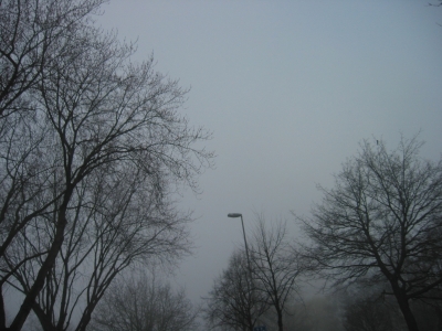 mist9.jpg