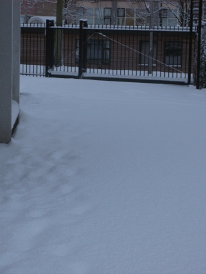 sneeuw10.jpg
