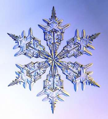 sneeuwvorm.jpg