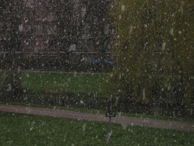 snow1.jpg