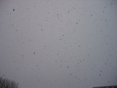 snow3.jpg