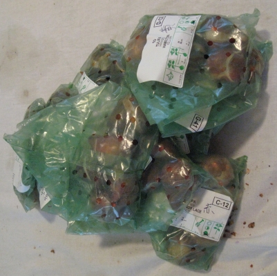 tulpbollen2.jpg