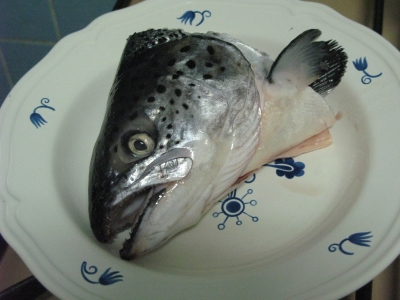 zalm2.jpg