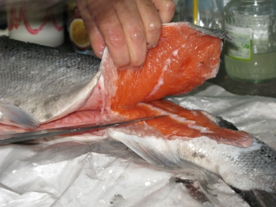 zalm3.jpg